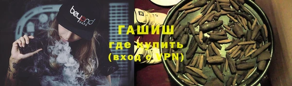гашик Алексин