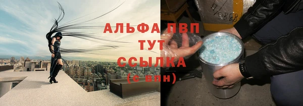 гашик Алексин