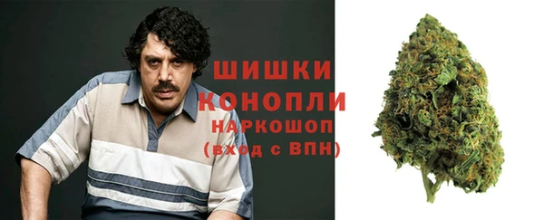 гашик Алексин
