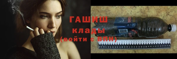 гашик Алексин