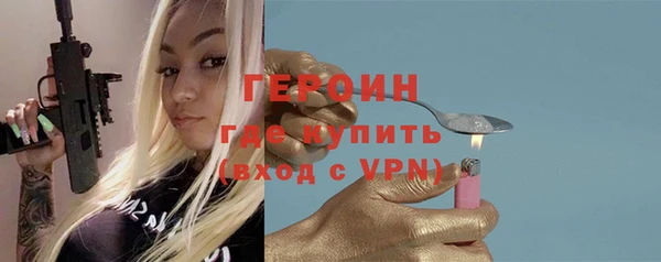 гашик Алексин