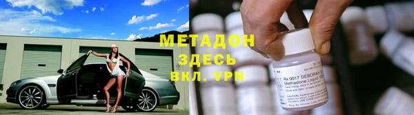 гашик Алексин