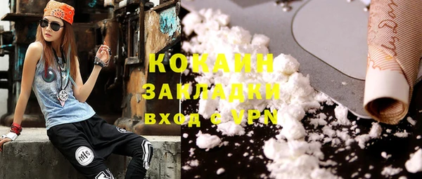 гашик Алексин