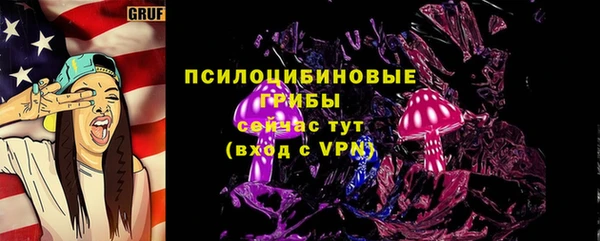 гашик Алексин