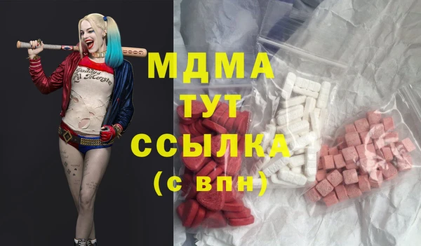 гашик Алексин