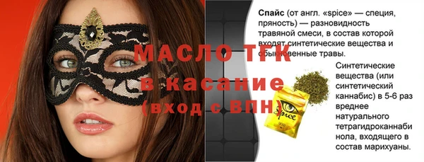 гашик Алексин