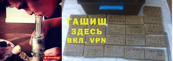 гашик Алексин
